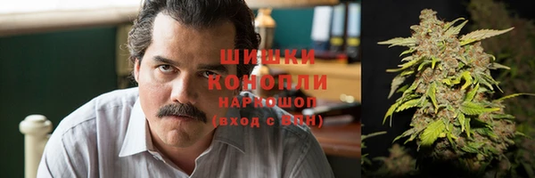 эйфоретик Каменка