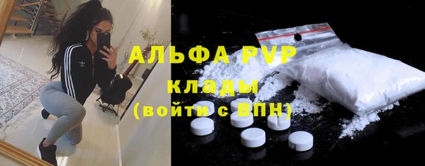 стаф Дубна