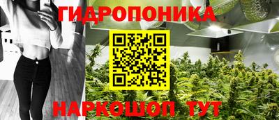гидра Ивантеевка